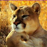 Виктория Курганова