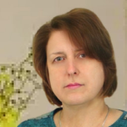 Елена Демина